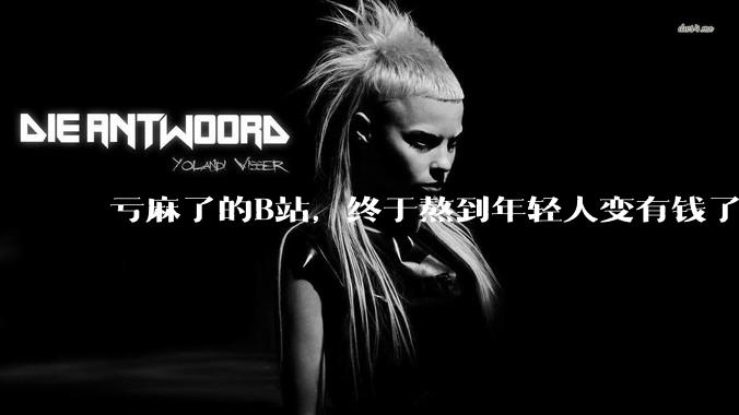 亏麻了的B站，终于熬到年轻人变有钱了_用户_广告_***