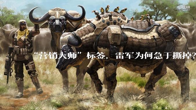 “营销大师”标签，雷军为何急于撕掉？_小米_汽车_直播