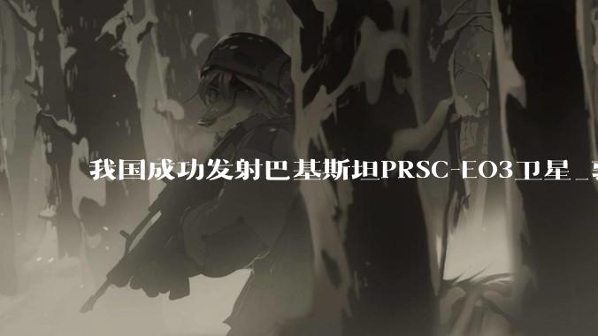 我国成功发射巴基斯坦PRSC-EO3卫星_郭金_运载火箭_预定