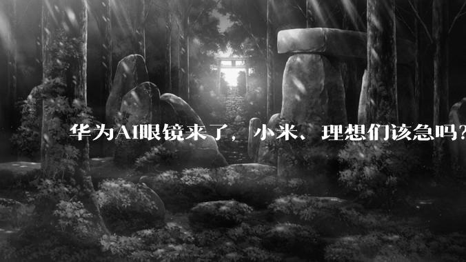 华为AI眼镜来了，小米、理想们该急吗？_画面_影像_livis