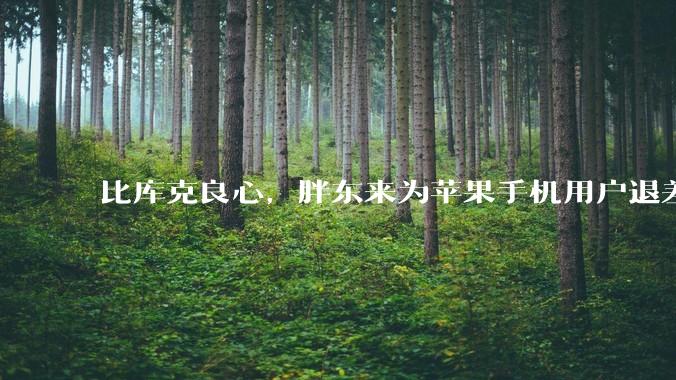 比库克良心，胖东来为苹果手机用户退差价，网友建议友商全员跟进_补偿_iPhone_价格