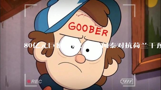 80亿元巨额索赔！*ST闻泰对抗荷兰干预，国内起诉能否 “抢回” 安世半导体？_中国公司_被告_诉讼