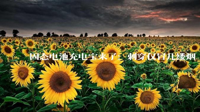 固态电池充电宝来了：刺穿仅冒几缕烟 再也不怕自燃_移动电源_传统_相关
