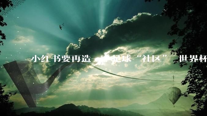 小红书要再造一个足球“社区”_世界杯_版权_品牌