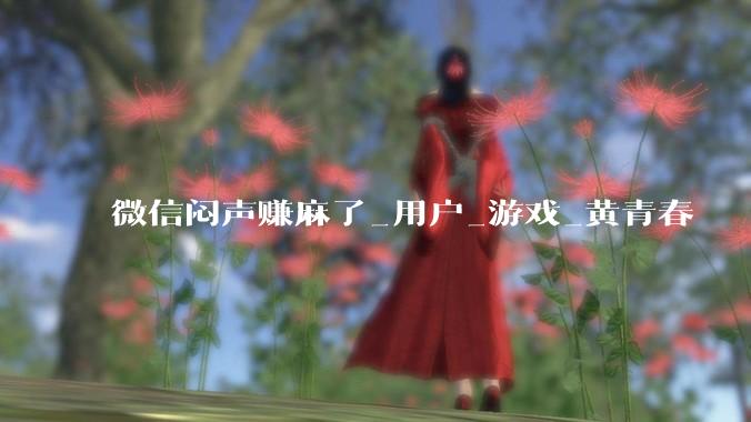 微信闷声赚麻了_用户_游戏_黄青春