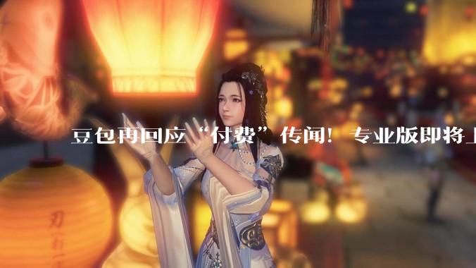 豆包再回应“付费”传闻！专业版即将上线，面向这些专业人群_服务_消息_网友
