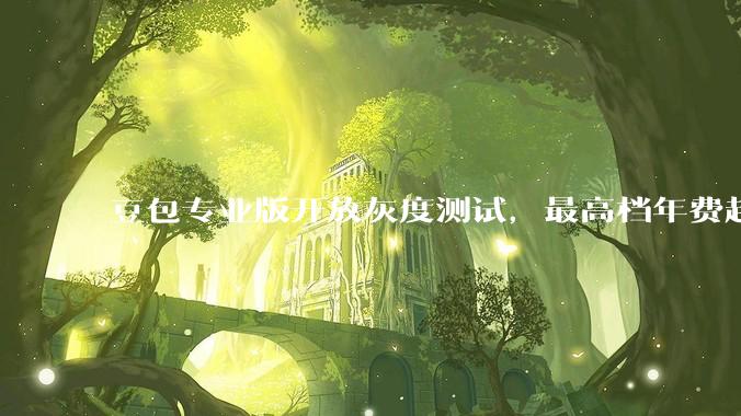 豆包专业版开放灰度测试，最高档年费超5000元_服务_加强版_Store