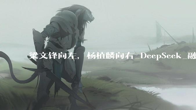 梁文锋向左，杨植麟向右_DeepSeek_融资_模型
