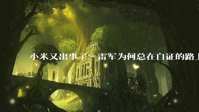 小米又出事了：雷军为何总在自证的路上_汽车_车厘子_争议