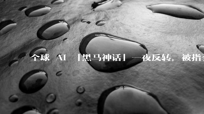 全球 AI 「黑马神话」一夜反转，被指套壳阿里千问_模型_Rio-_-Open-