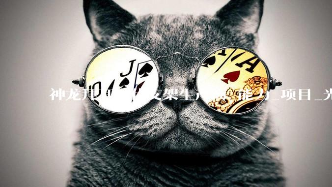 神龙拜耳光伏支架生产商_能力_项目_光伏电站