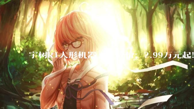 宇树R1人形机器人大降价：2.99万元起！现货发售_Unitree_整机_支持