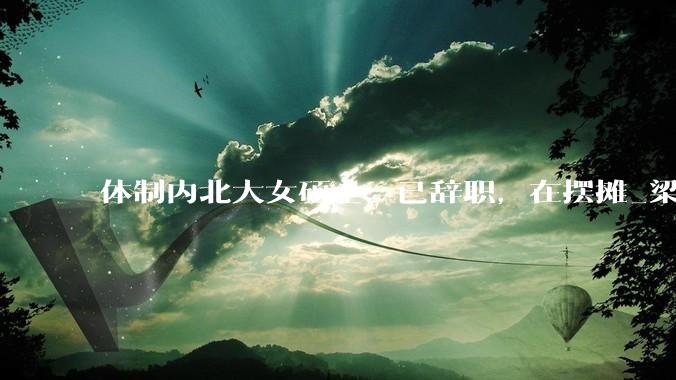 体制内北大女硕士：已辞职，在摆摊_梁忠_山东_摊位
