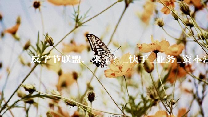 反字节联盟，来了？_快手_业务_资本注入