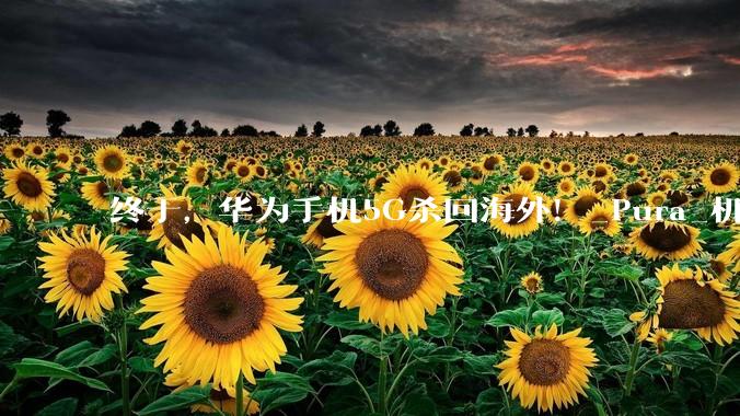 终于，华为手机5G杀回海外！_Pura_机型_系列