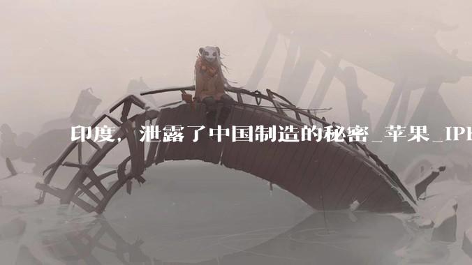 印度，泄露了中国制造的秘密_苹果_iPhone_库克当