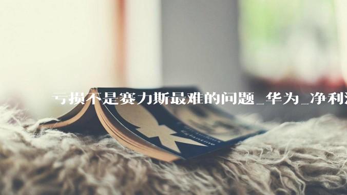 亏损不是赛力斯最难的问题_华为_净利润_归母