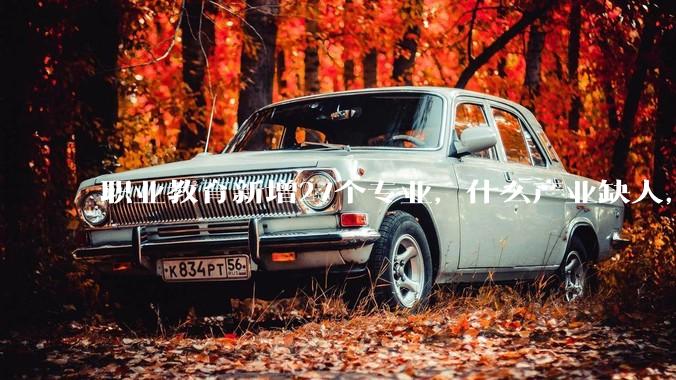 职业教育新增27个专业，什么产业缺人，就设什么专业_技能_人才_智能