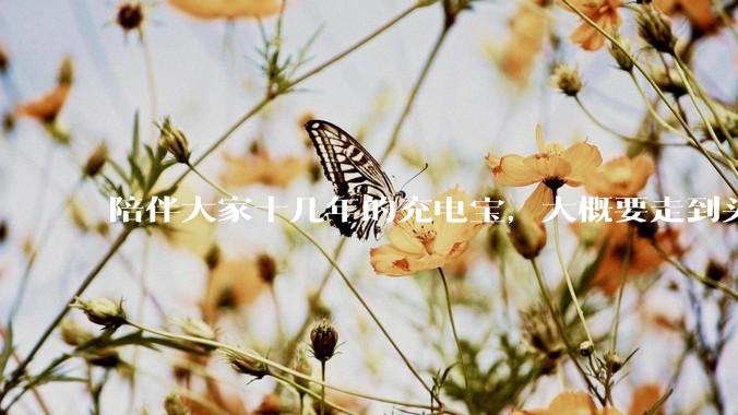 陪伴大家十几年的充电宝，大概要走到头了_小厂_手机_国标
