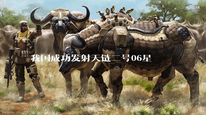 我国成功发射天链二号06星